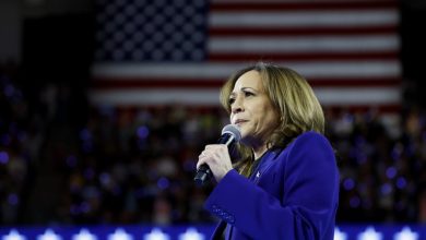 MILWAUKEE, WISCONSIN - AUGUST 20: Democratic presidential candidate, U.S. Vice President Kamala Harris speaks at a campaign rally at the Fiserv Forum on August 20, 2024 in Milwaukee, Wisconsin. Later this week Harris will accept her party's presidential n