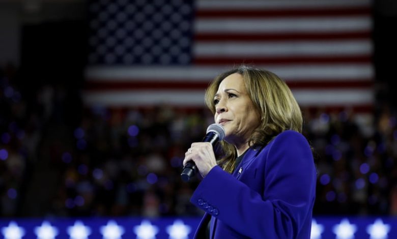 MILWAUKEE, WISCONSIN - AUGUST 20: Democratic presidential candidate, U.S. Vice President Kamala Harris speaks at a campaign rally at the Fiserv Forum on August 20, 2024 in Milwaukee, Wisconsin. Later this week Harris will accept her party's presidential n